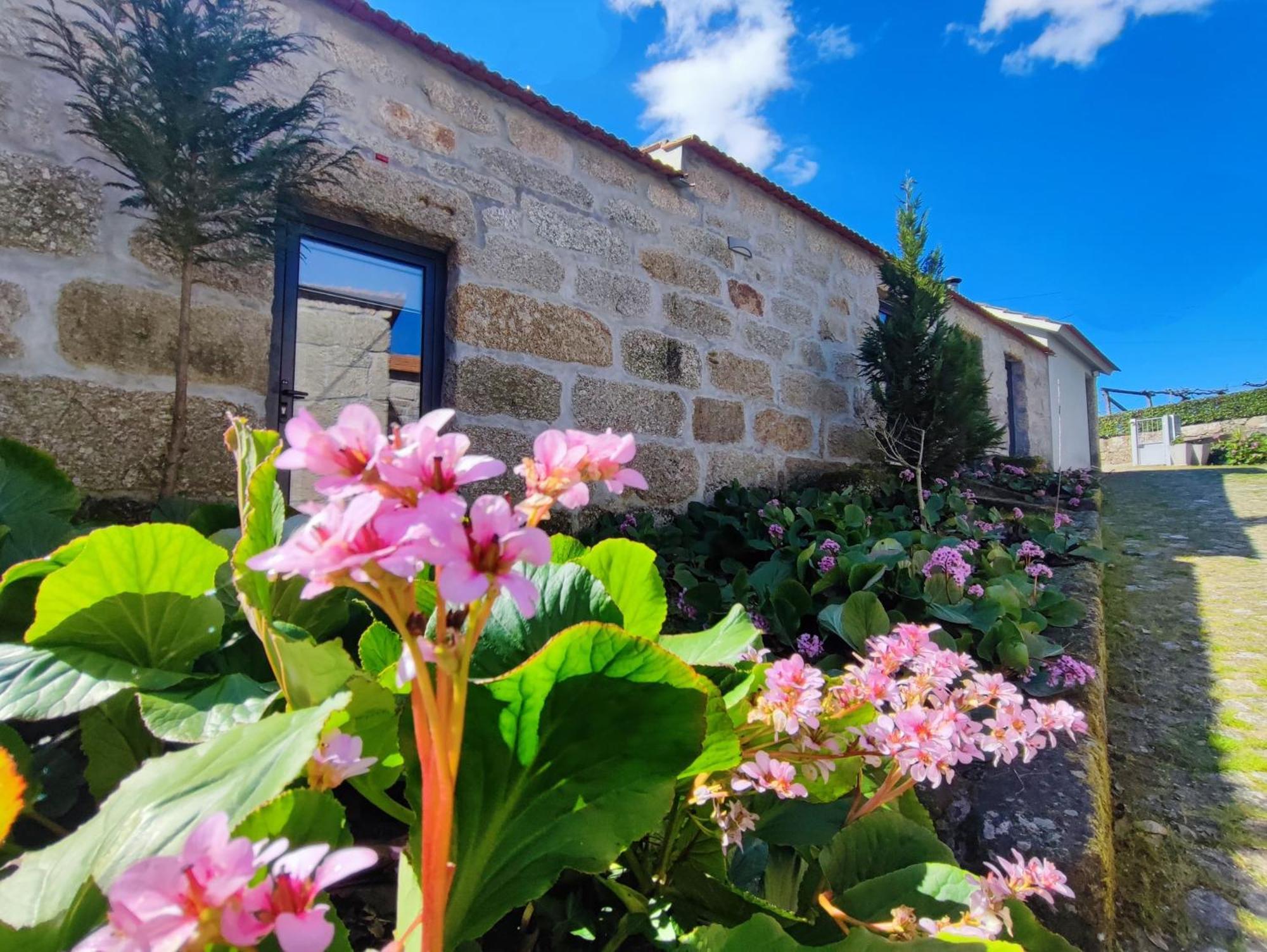 Agroturismo Quinta De Travancela Amarante Ngoại thất bức ảnh