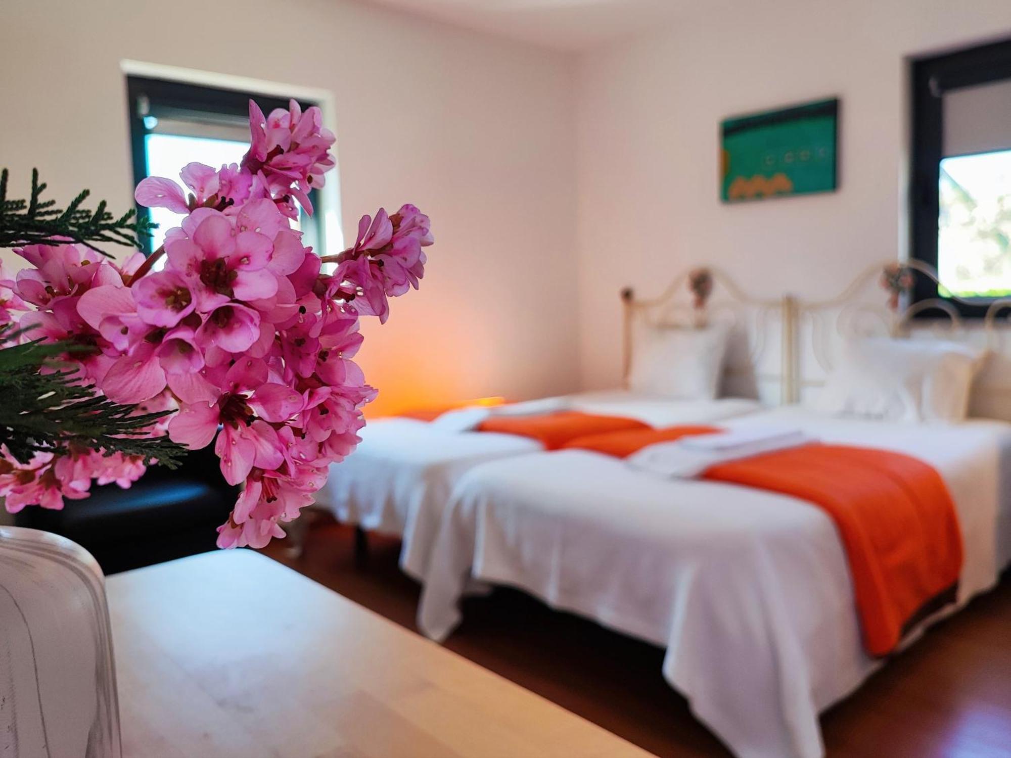 Agroturismo Quinta De Travancela Amarante Ngoại thất bức ảnh