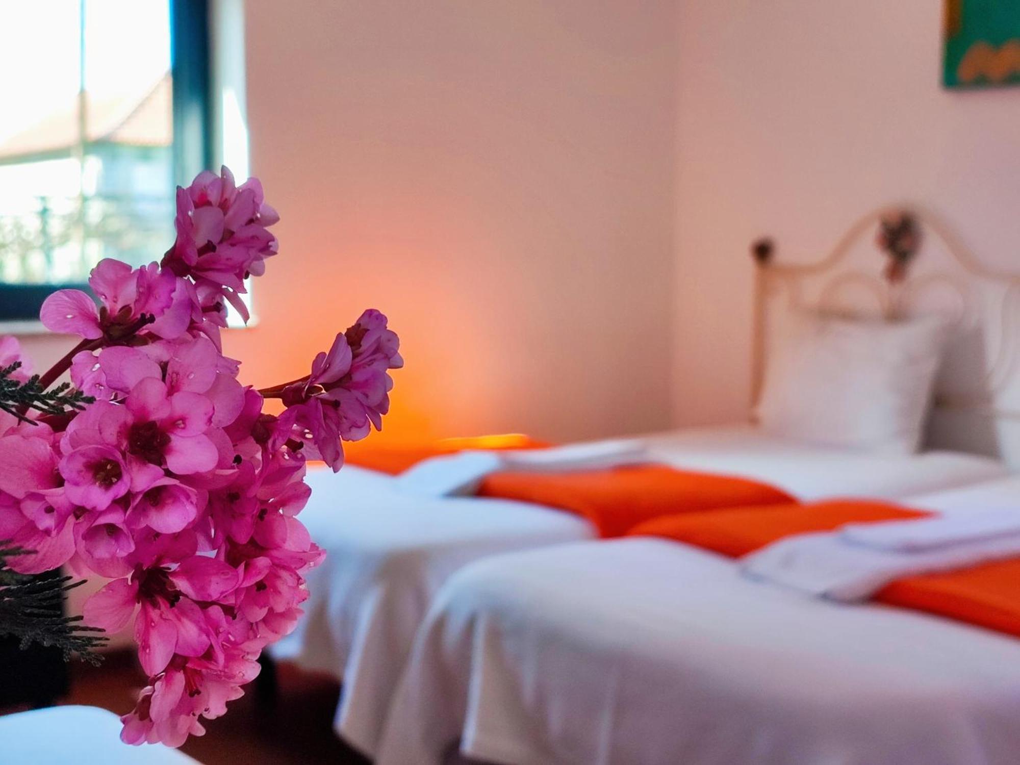 Agroturismo Quinta De Travancela Amarante Ngoại thất bức ảnh