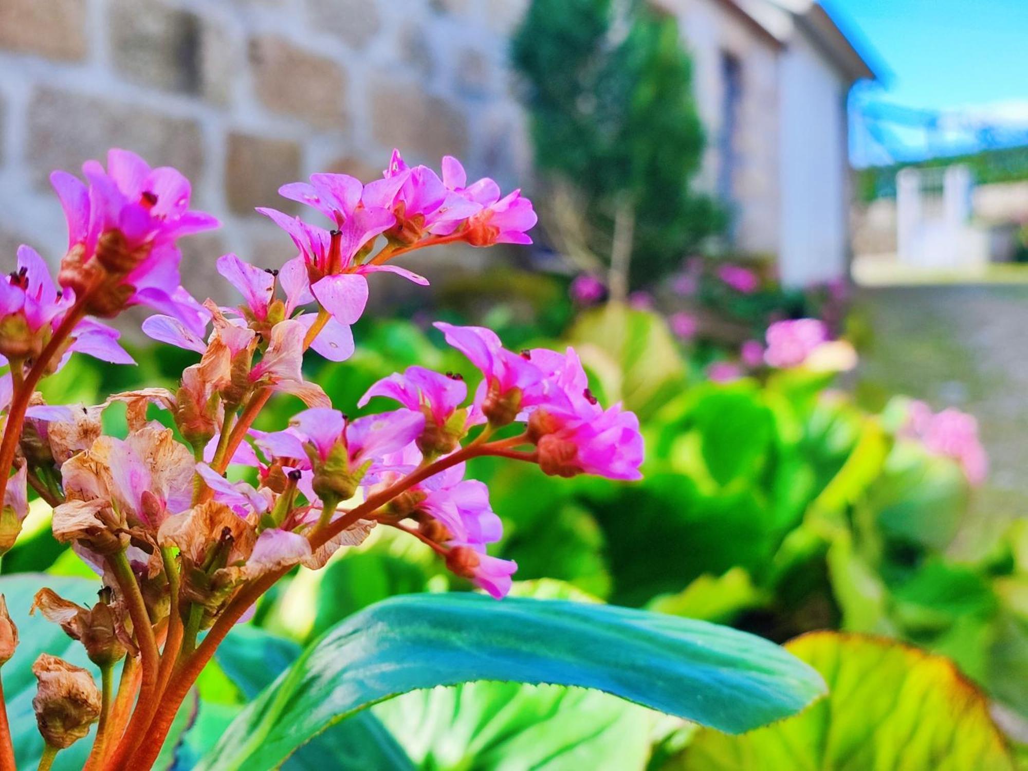 Agroturismo Quinta De Travancela Amarante Ngoại thất bức ảnh